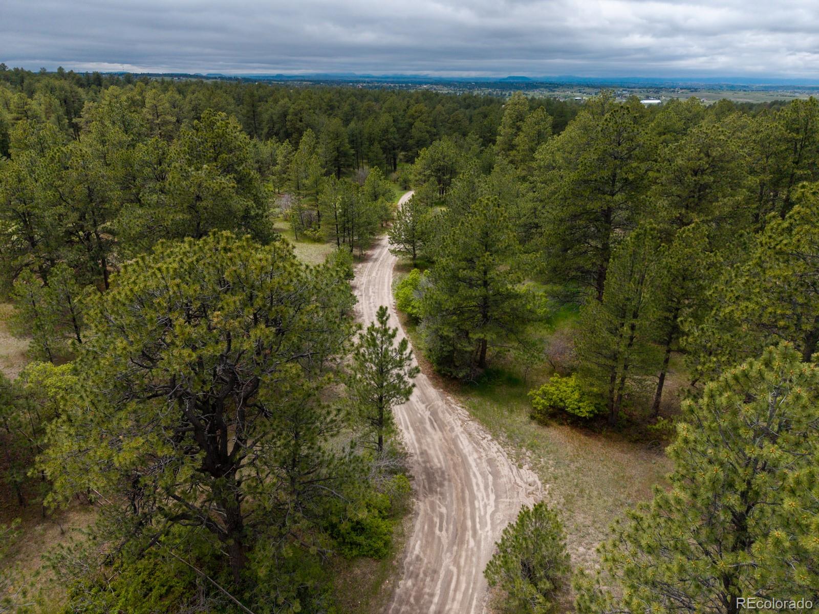 Ponderosa Lane