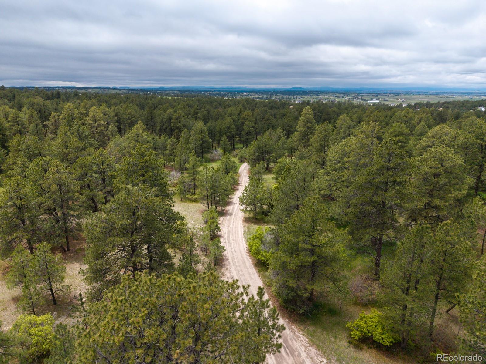 Ponderosa Lane