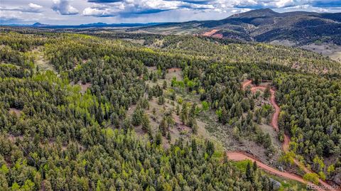 623 Rocky Mountain View, Divide, CO 80814 - #: 1985822