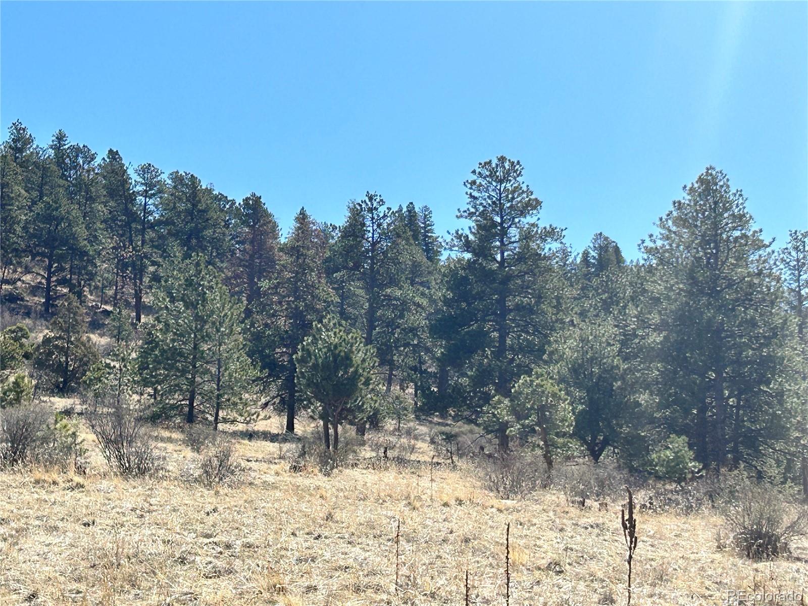 62430 Hwy 285