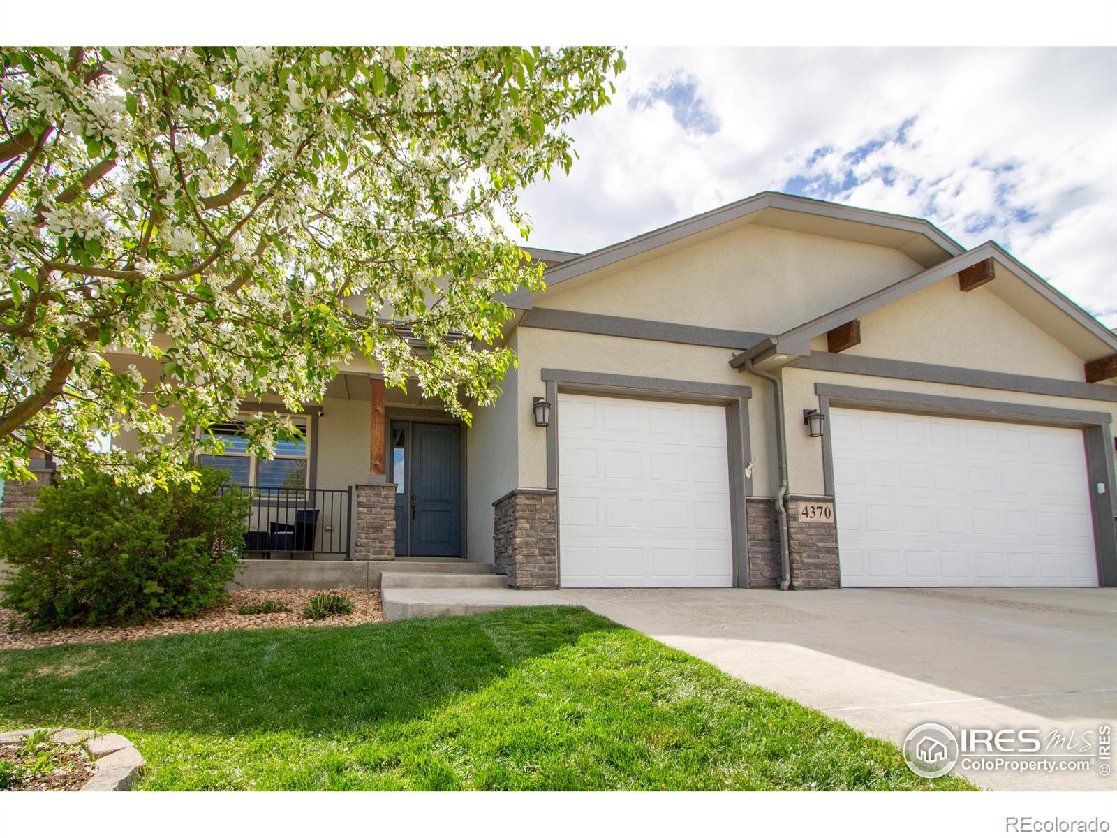 4370 Cicely Court