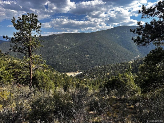 1 EAGLE ST, GYPSUM, CO 81637 - Image 6fdef1587fba1e6b04e0bfc146dfbade/819624525