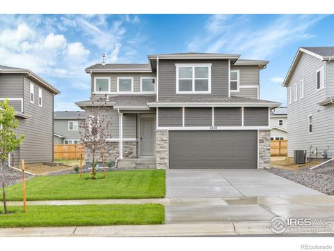 1228 104th Ave Ct, Greeley, CO 80634 - #: IR999398
