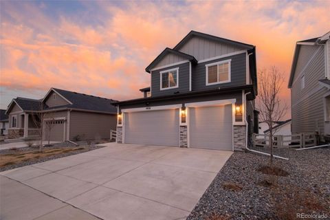 4938 Coltin Trail Castle Rock CO 80104