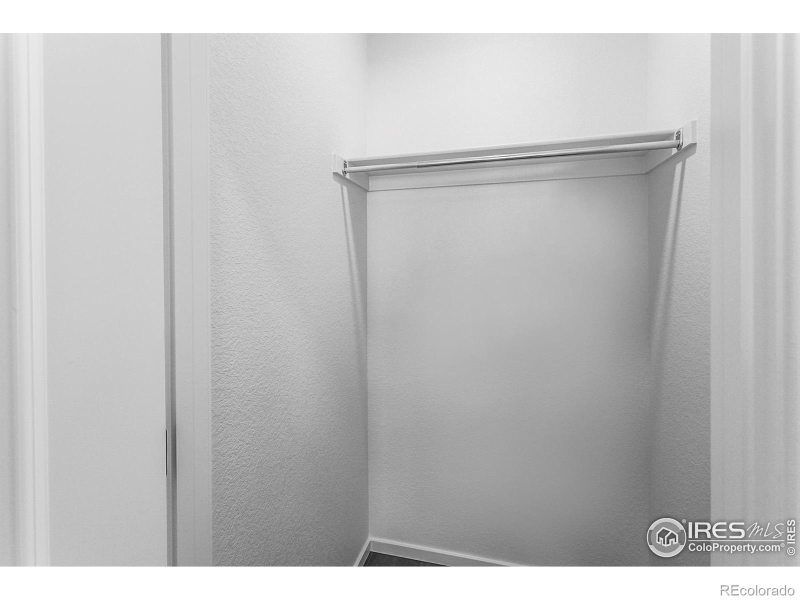 5144 Beckworth Street, Timnath, CO, 80547 3 5144 Beckworth Street