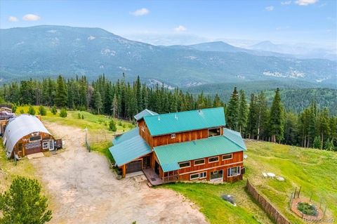 1539 Raven Ridge Road Idaho Springs CO 80452