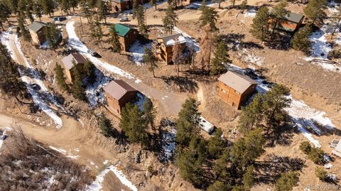 206 Virginia Road Bailey CO 80421