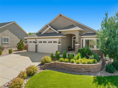 122 Coyote Willow Drive, Colorado Springs, CO 80921 - #: 9932521
