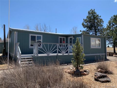 805 First Street, Silver Cliff, CO 81252 - #: 4618525