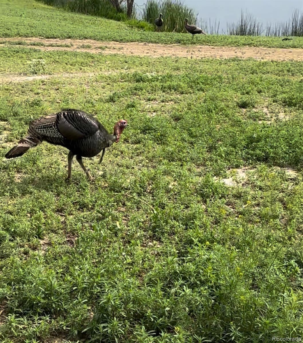 4791 County Road 24 3/4