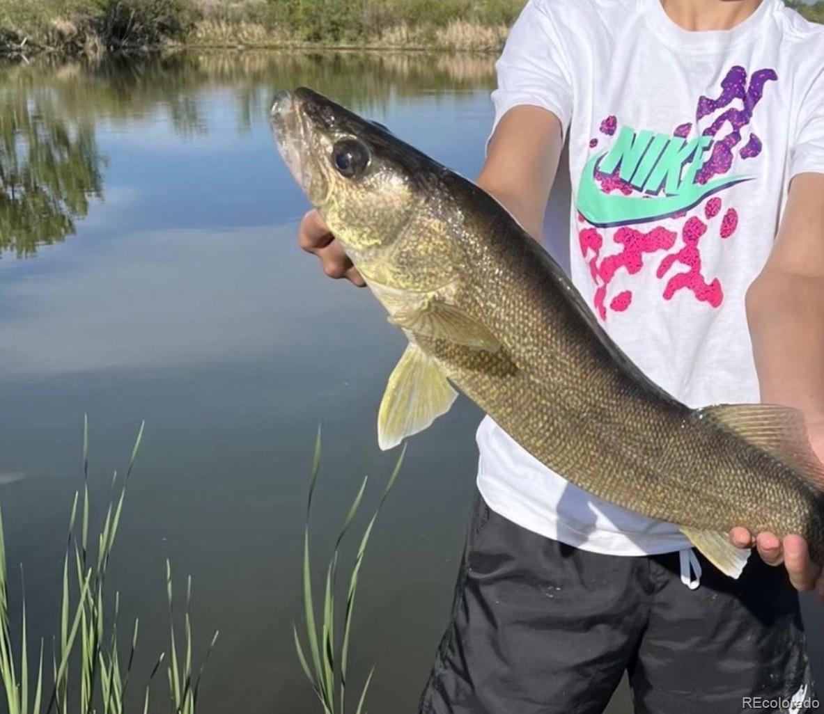 4791 County Road 24 3/4