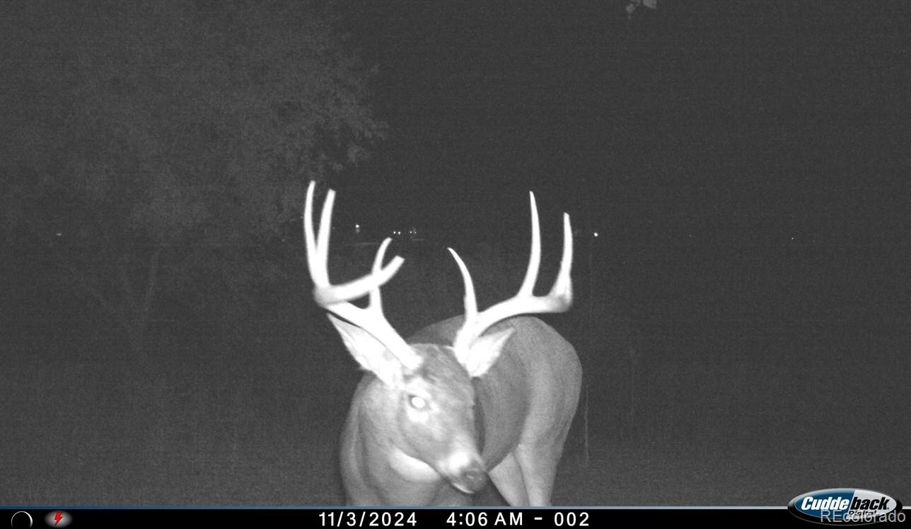 4791 County Road 24 3/4