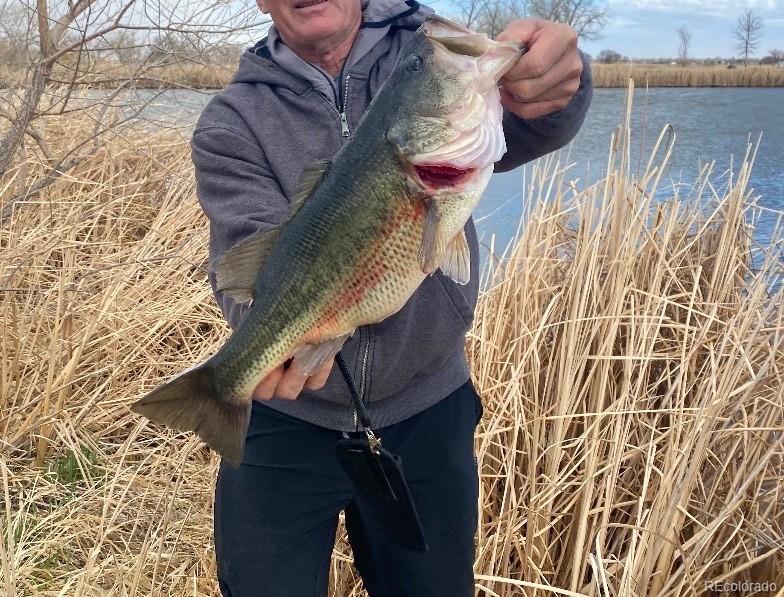 4791 County Road 24 3/4