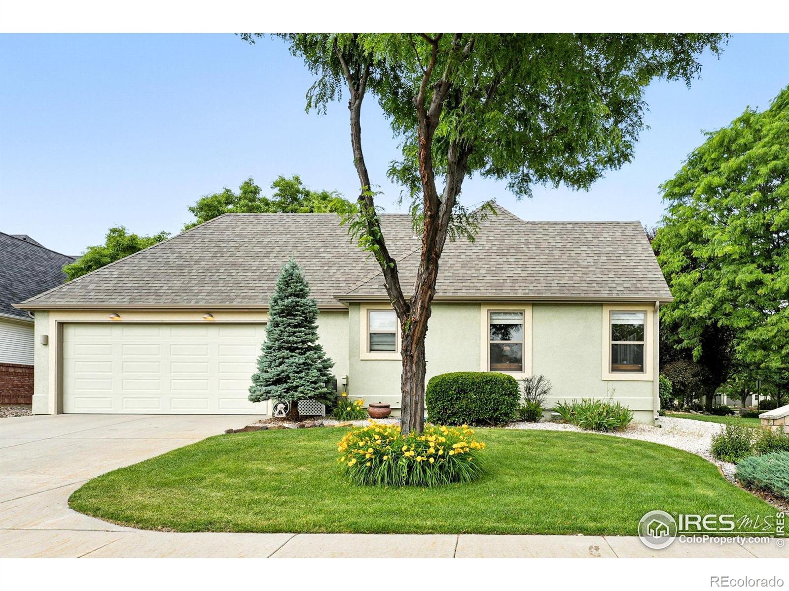 734 Rossum Drive