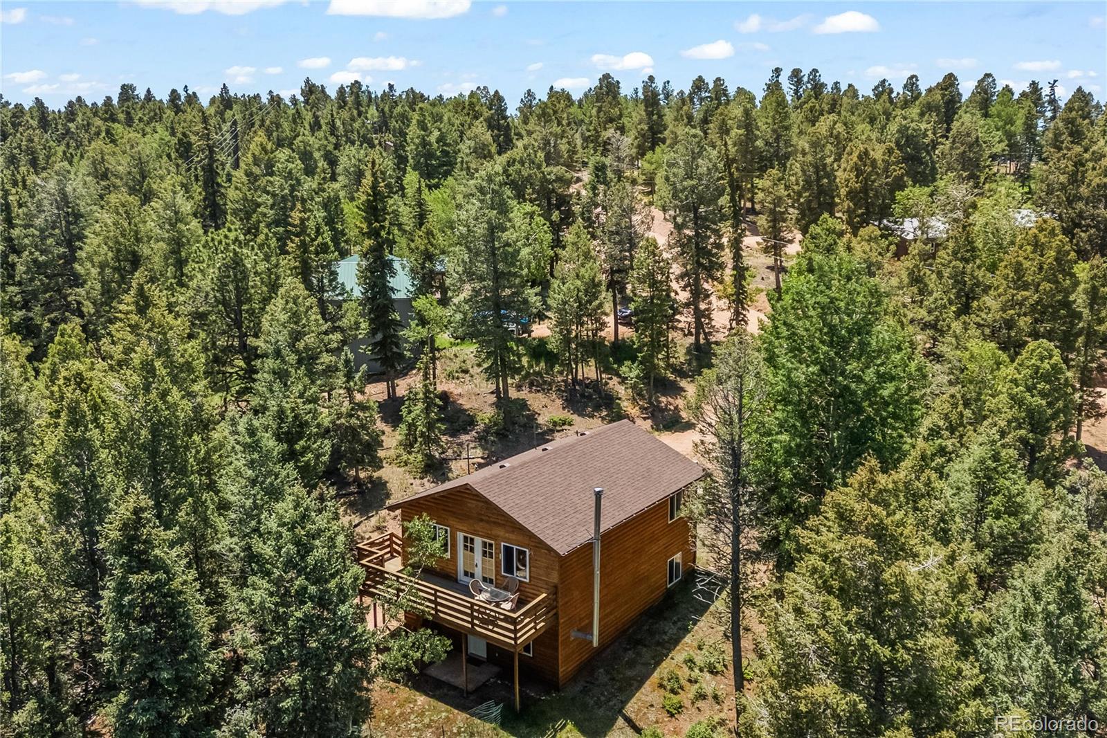 485 Donzi Trail, Florissant, CO, 80816 2 485 Donzi Trail