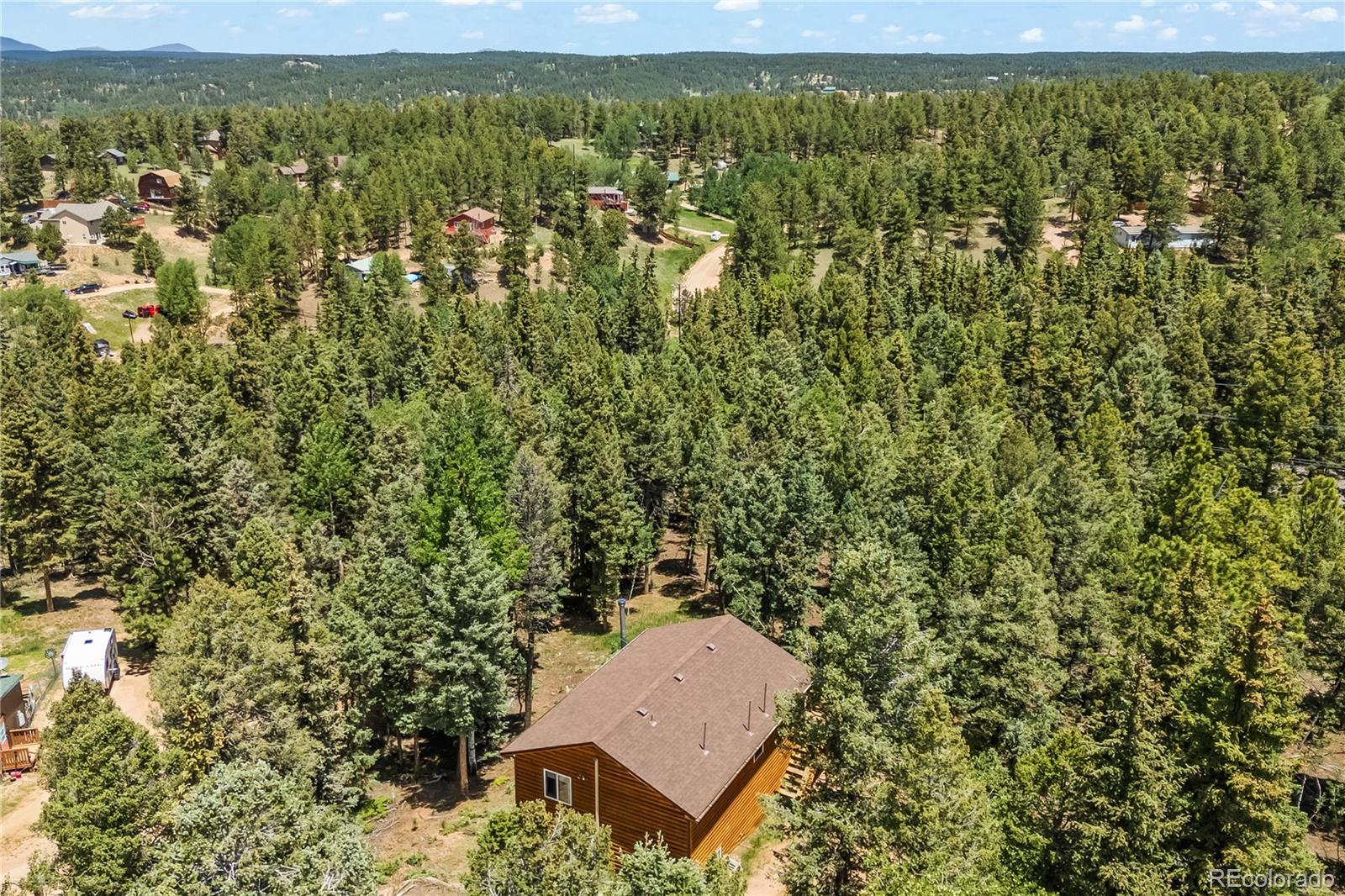 485 Donzi Trail, Florissant, CO, 80816 4 485 Donzi Trail