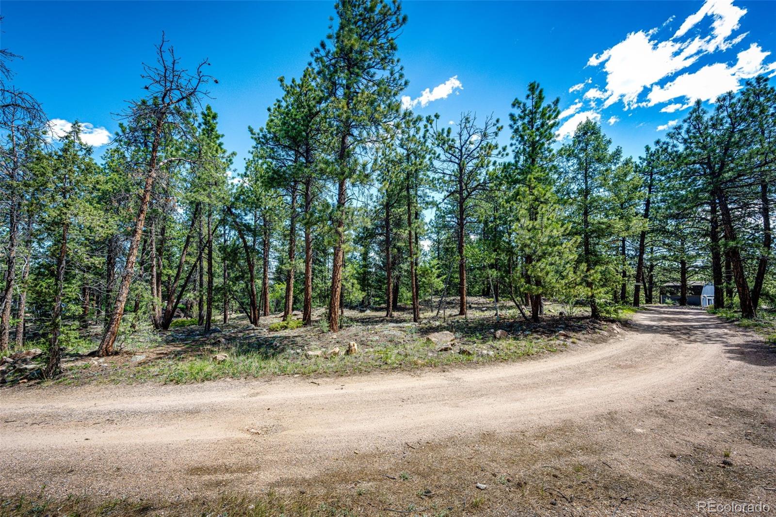 S Wandcrest Drive