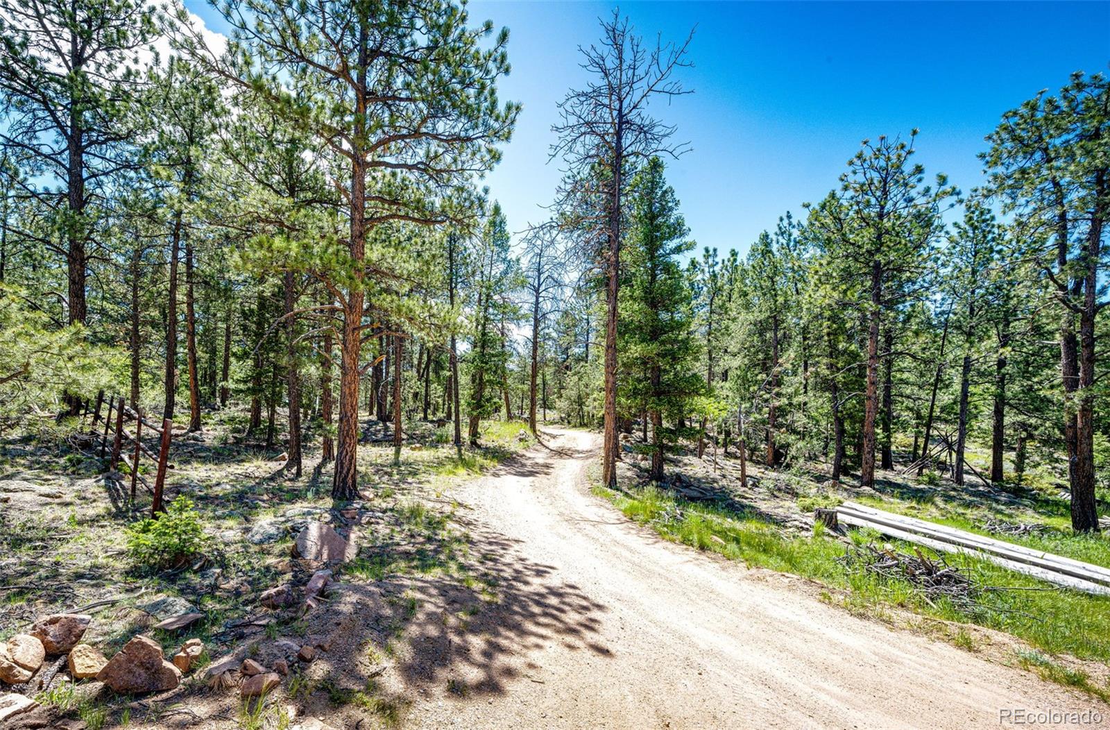 S Wandcrest Drive