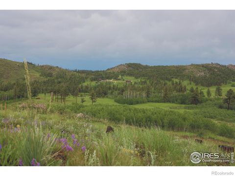 14884 Rist Canyon Road Bellvue CO 80512