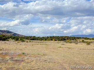 553 E Pfeiffer Loop