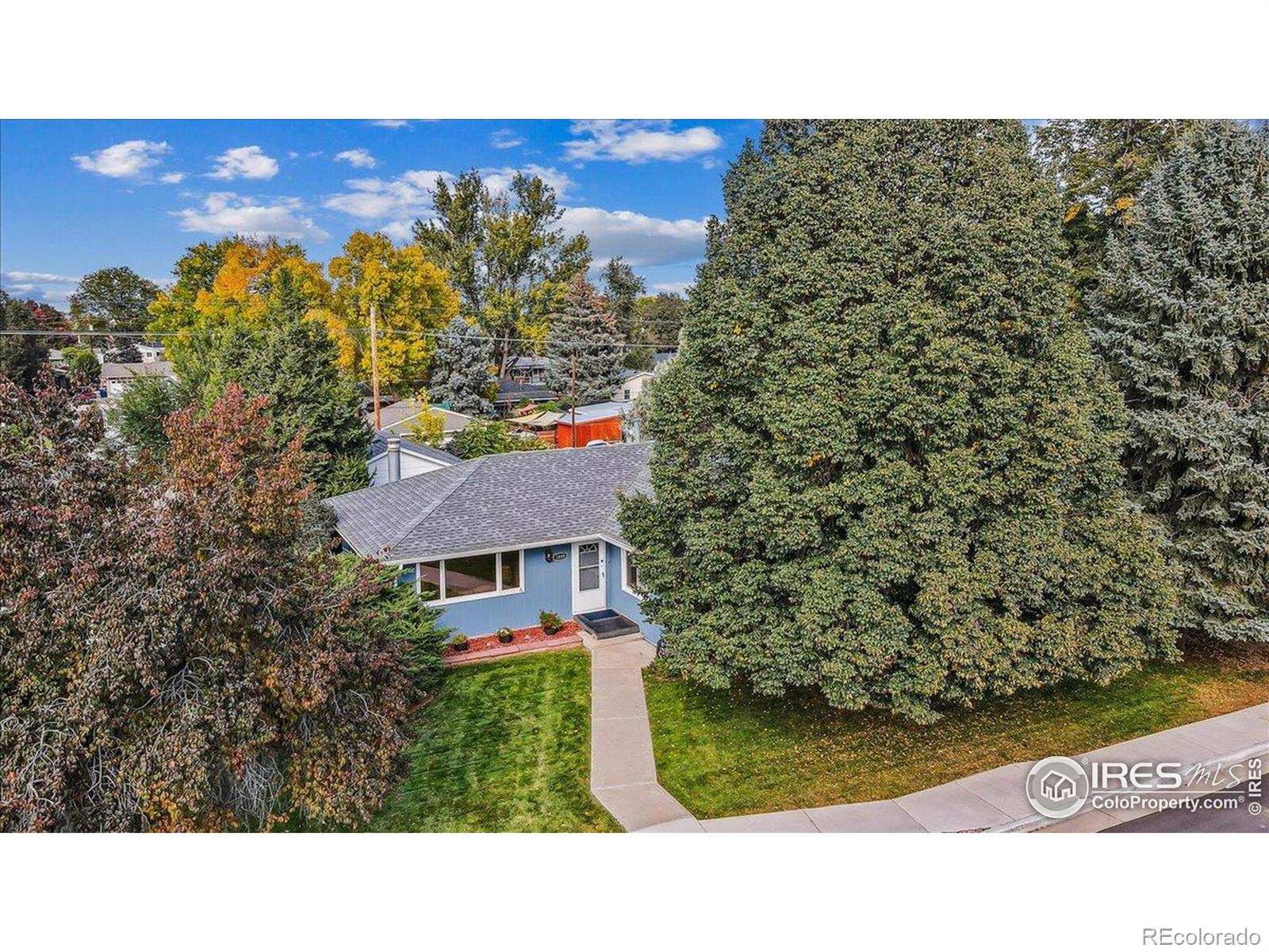 1009 Charlotte Street
