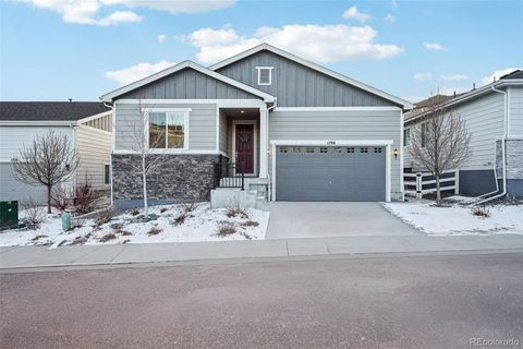 Photo of 1704 Cade Avenue, Castle Rock, CO 80104 (MLS # 4053148)