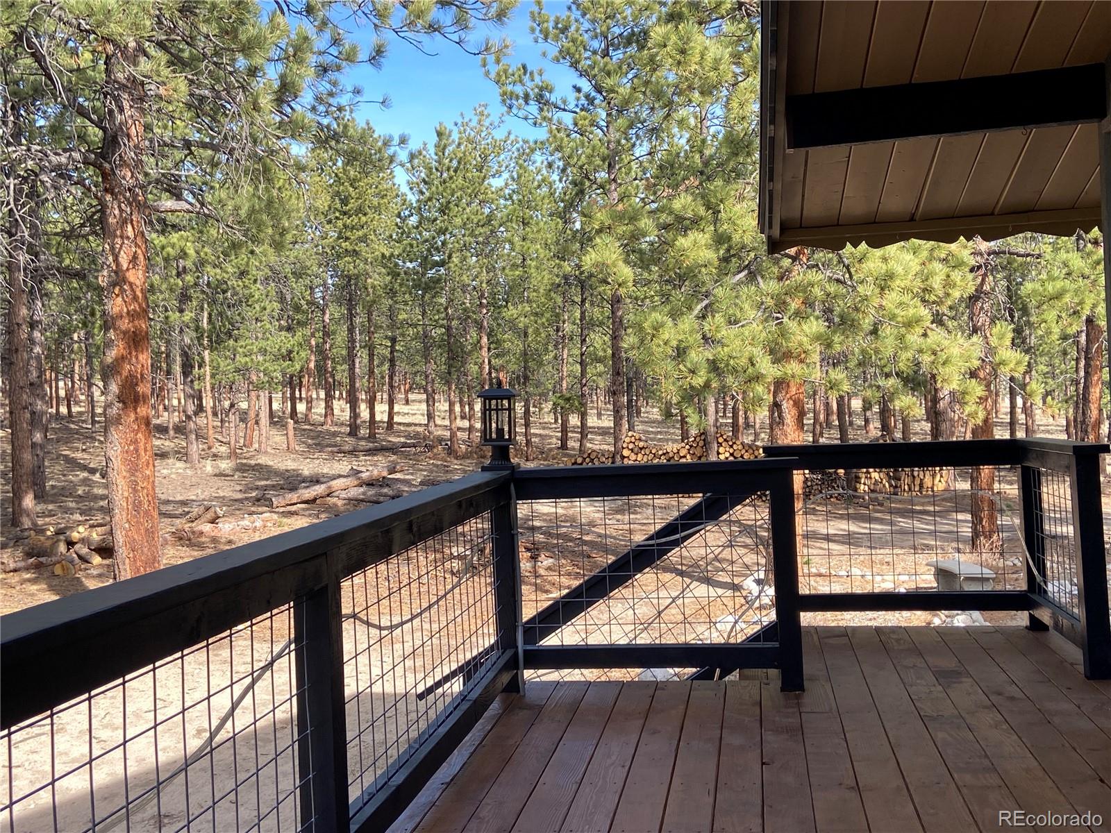 16165 Burt Gulch Road