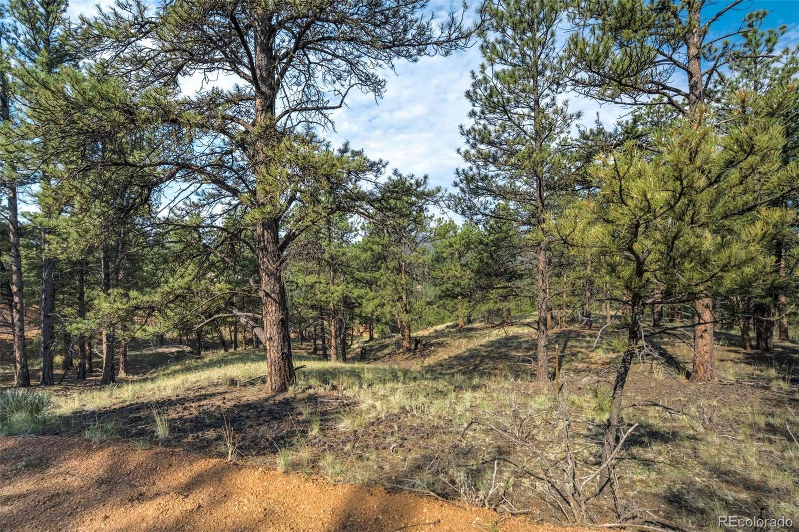 39 Reed Drive