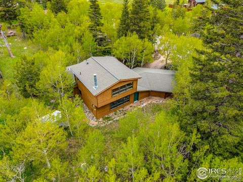 1075 Eldorado Avenue Nederland CO 80466