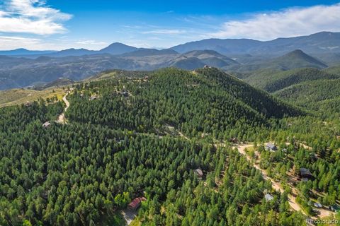 360 Hi Meadow Drive Bailey CO 80421