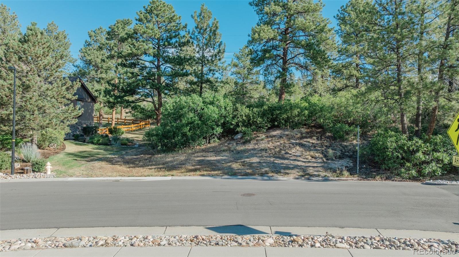 2445 Saddleback Drive