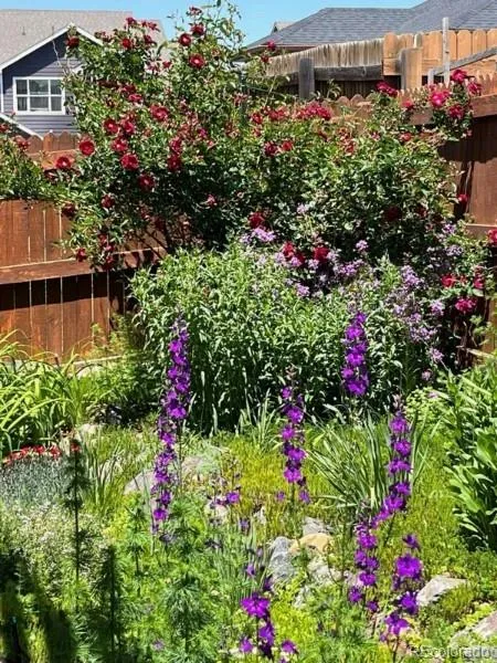 Brighton, Colorado 80601, United States, 3 Bedrooms Bedrooms, ,3 BathroomsBathrooms,Residential,Active,247371