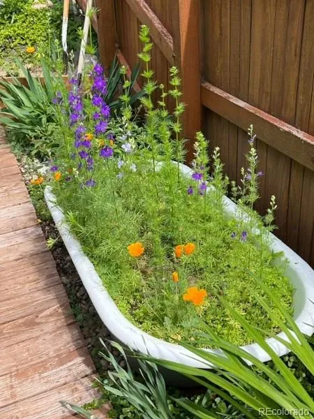 Brighton, Colorado 80601, United States, 3 Bedrooms Bedrooms, ,3 BathroomsBathrooms,Residential,Active,247371