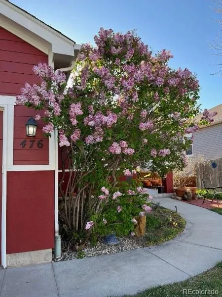 Brighton, Colorado 80601, United States, 3 Bedrooms Bedrooms, ,3 BathroomsBathrooms,Residential,Active,247371