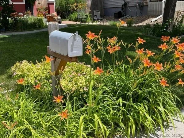 Brighton, Colorado 80601, United States, 3 Bedrooms Bedrooms, ,3 BathroomsBathrooms,Residential,Active,247371