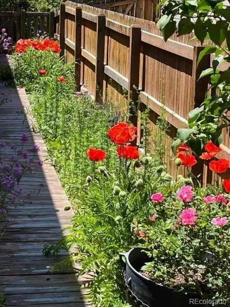 Brighton, Colorado 80601, United States, 3 Bedrooms Bedrooms, ,3 BathroomsBathrooms,Residential,Active,247371