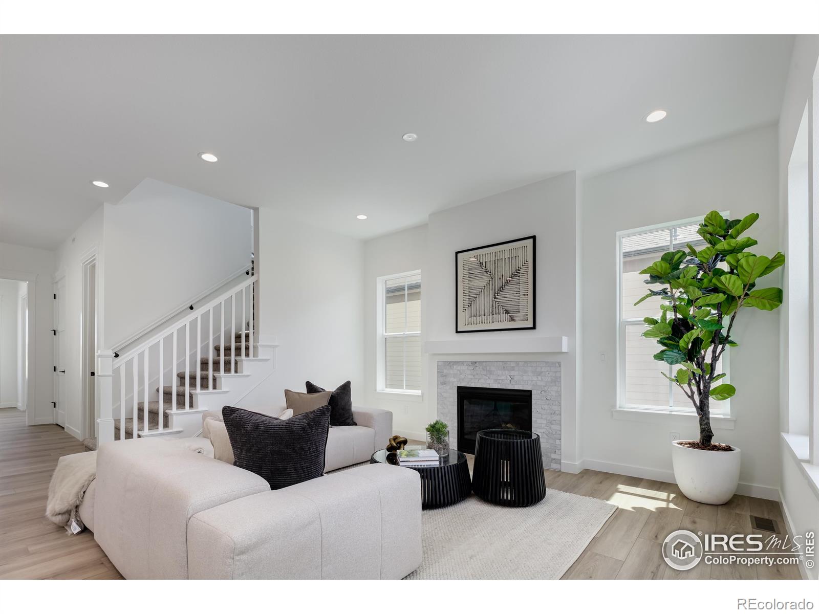 1651 Poplar Drive