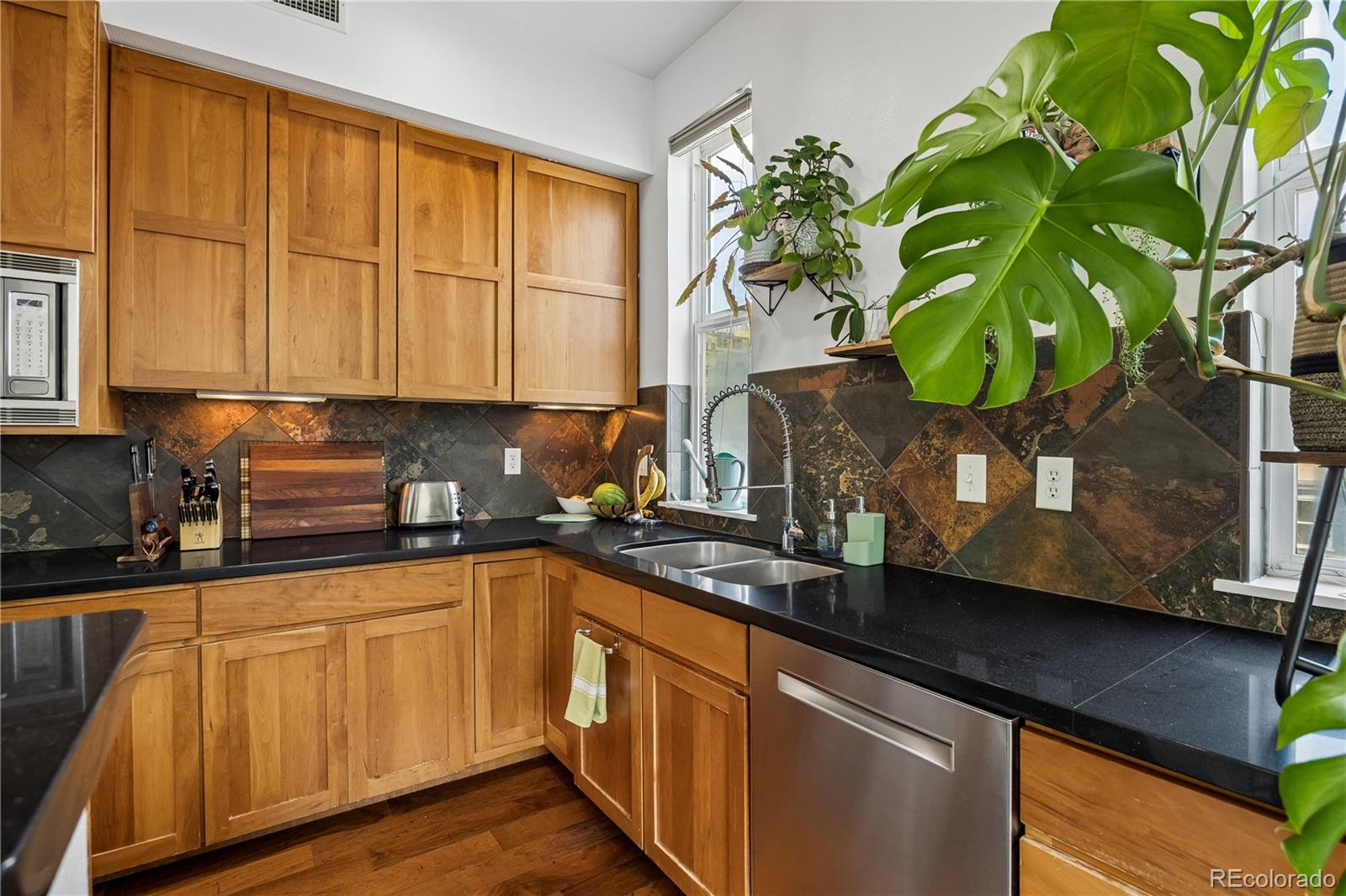 1738 N Franklin Street 3D