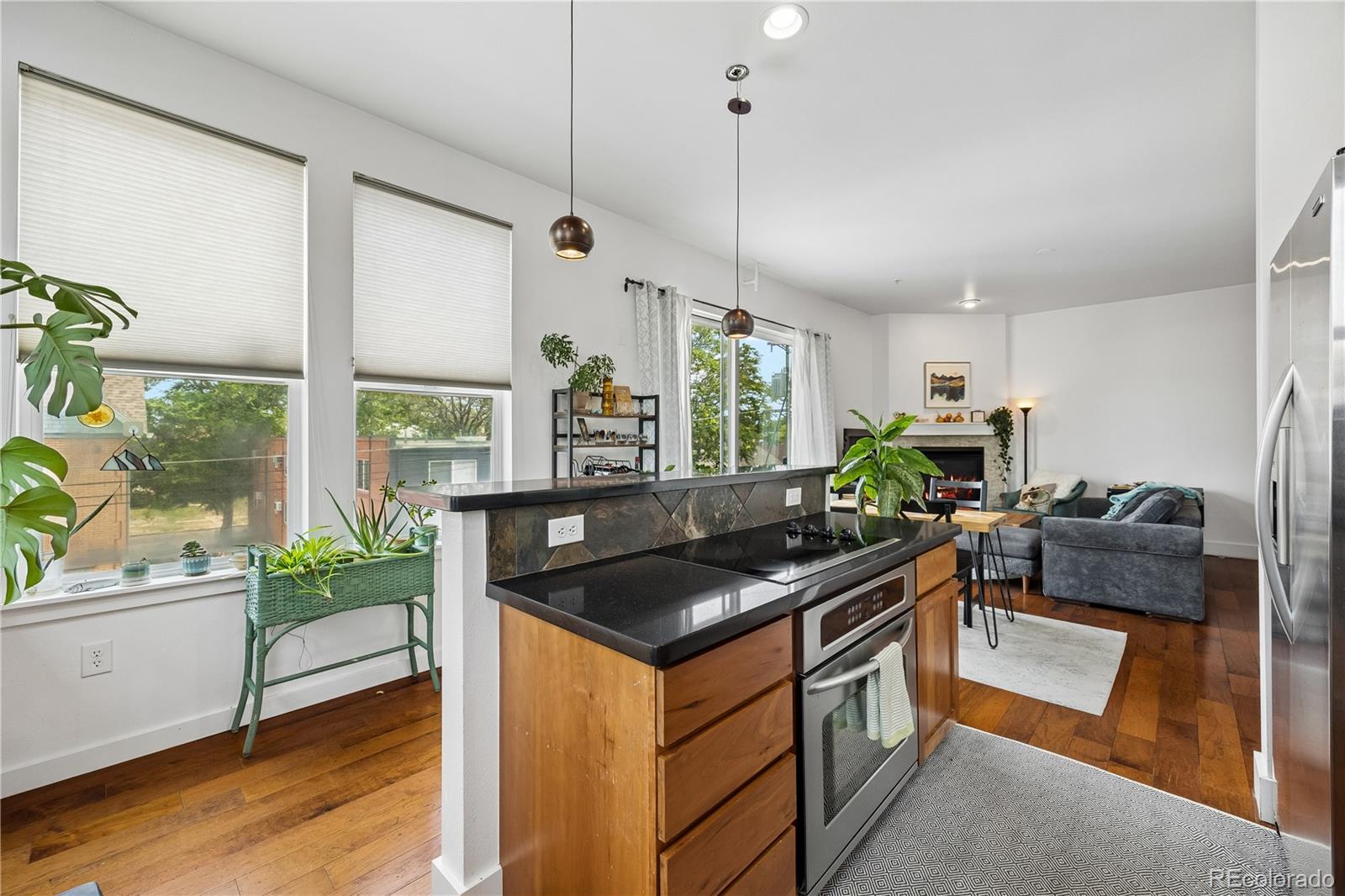 1738 N Franklin Street 3D