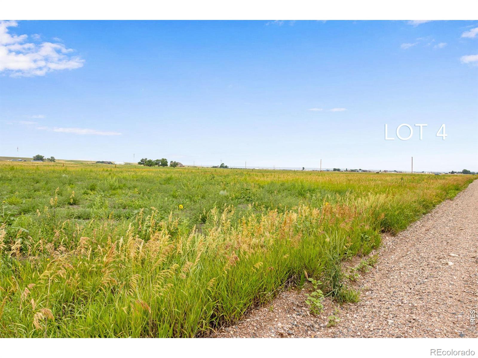 4 TBD County Road 21