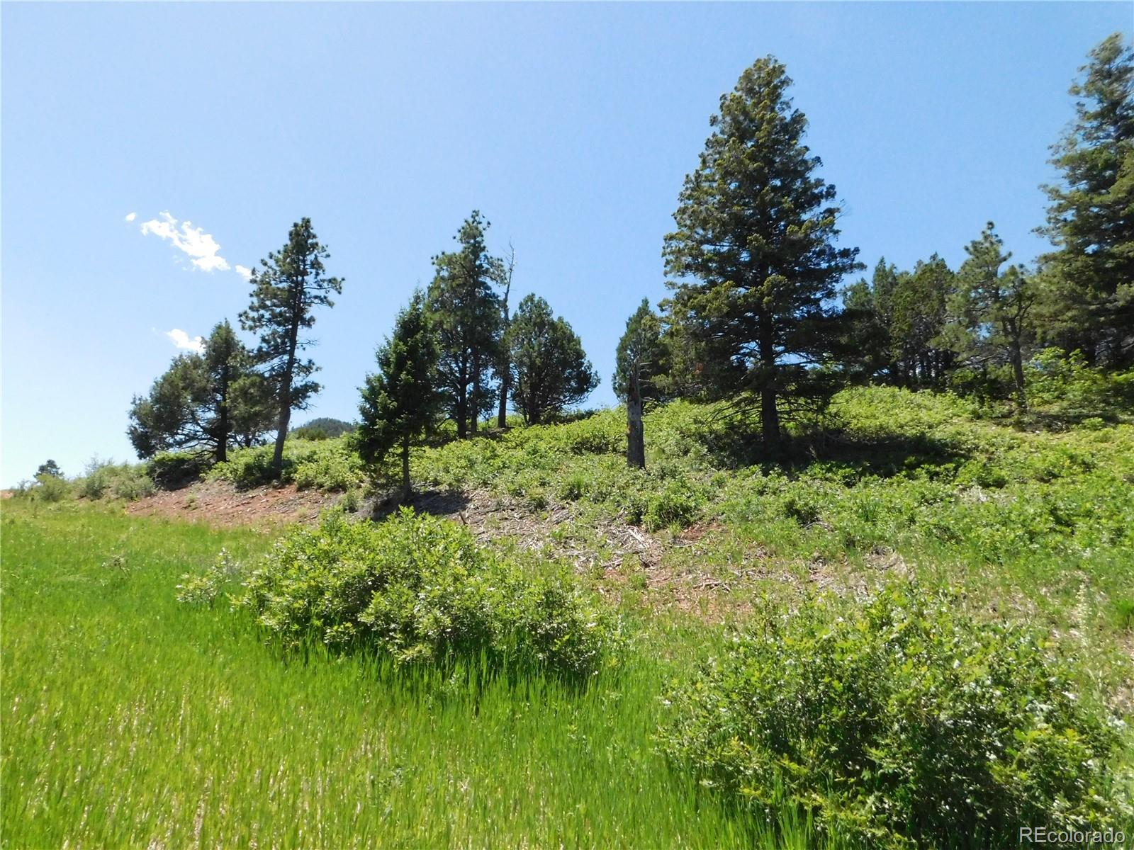 5900 Pawnee Road