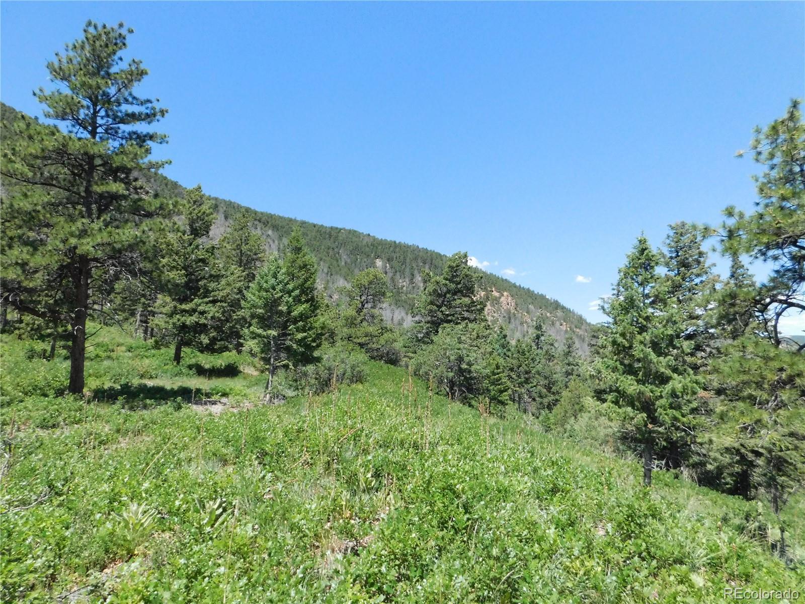 5900 Pawnee Road