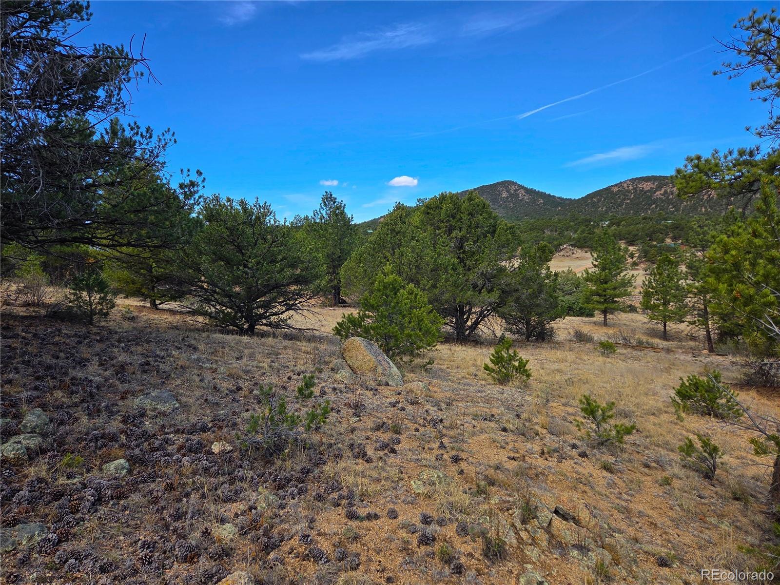 Photo 1 of 35 — 243 Iron Mountain Lane, Cotopaxi, CO 81223