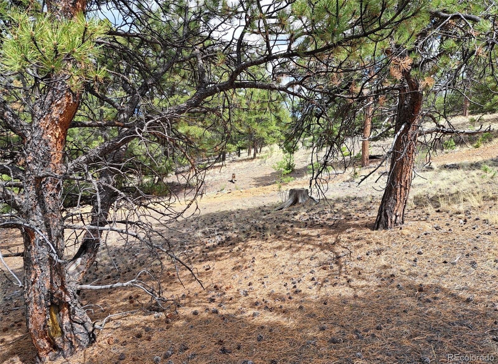 Lot 41 Willow Street