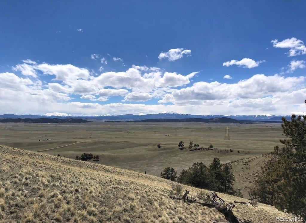 Lot 41 Willow Street