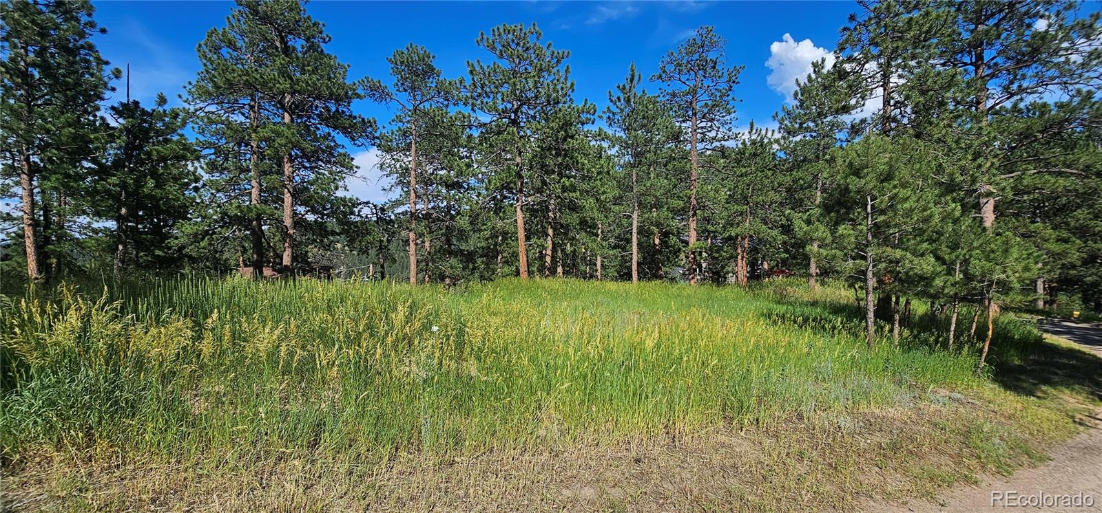 27901 Pine Drive, Evergreen, CO, 80439 4 27901 Pine Drive
