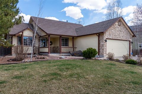 183 Maplewood Drive, Erie, CO 80516 - #: 6174296
