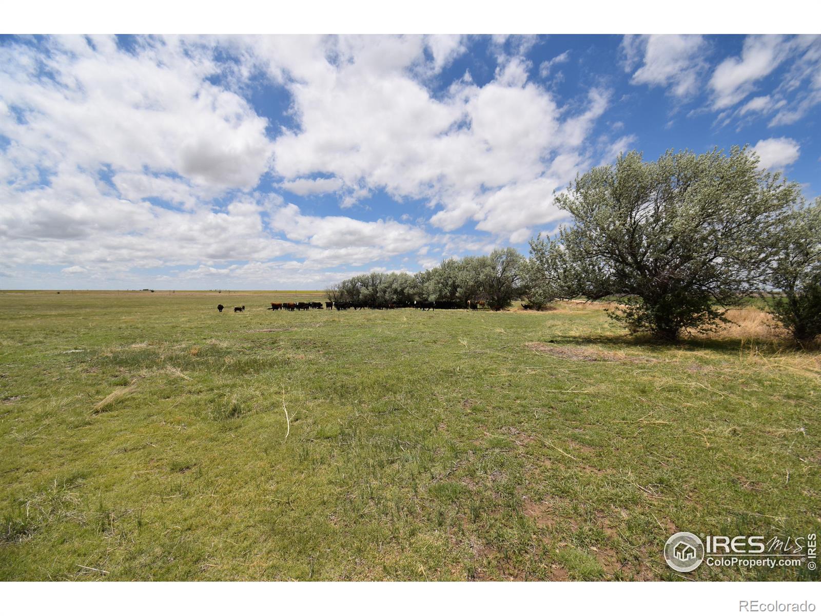 19944 County Road M