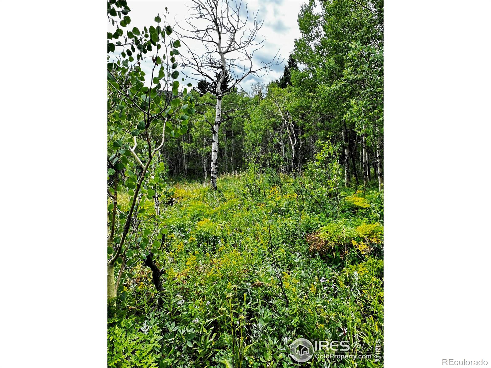 928 Ski Road