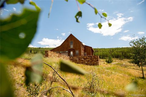 3601 Forest Road 504, Creede, CO 81130 - #: 3232922